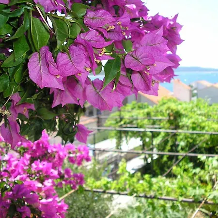 Jadranka Maison d'hôtes